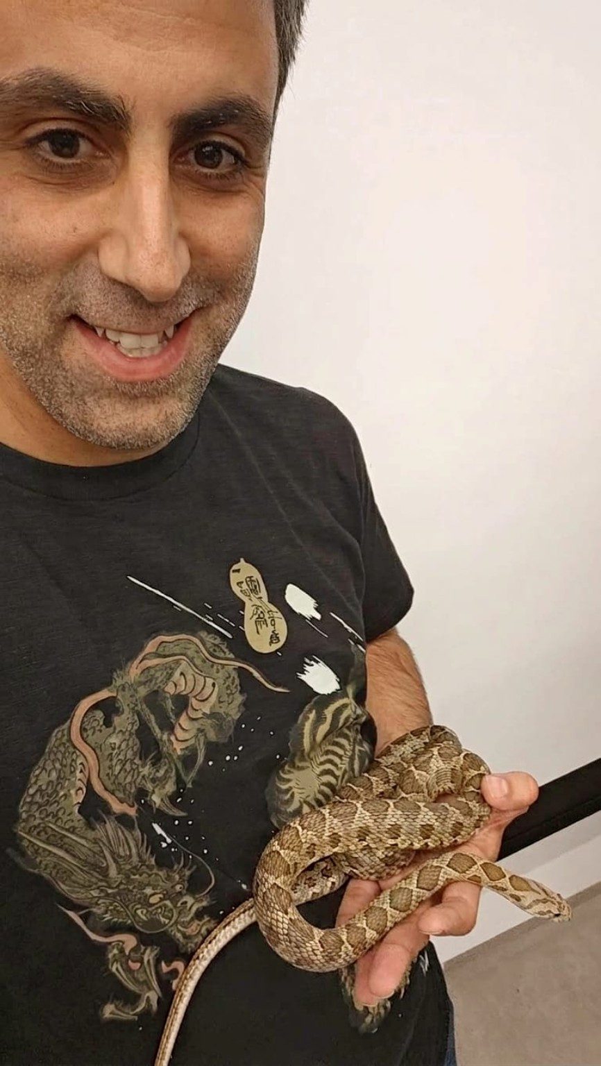 ששי ונחשים