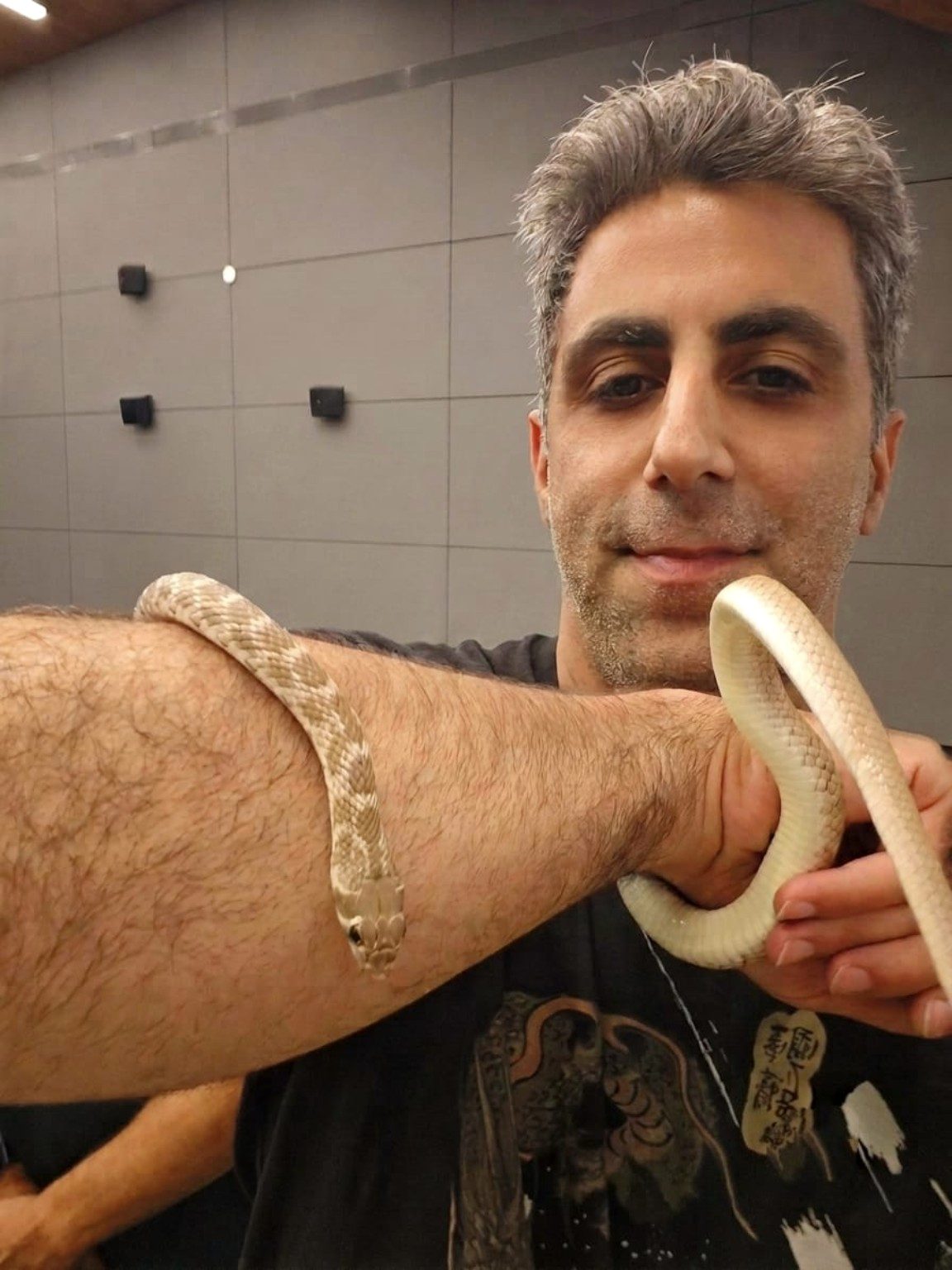 ששי ונחשים