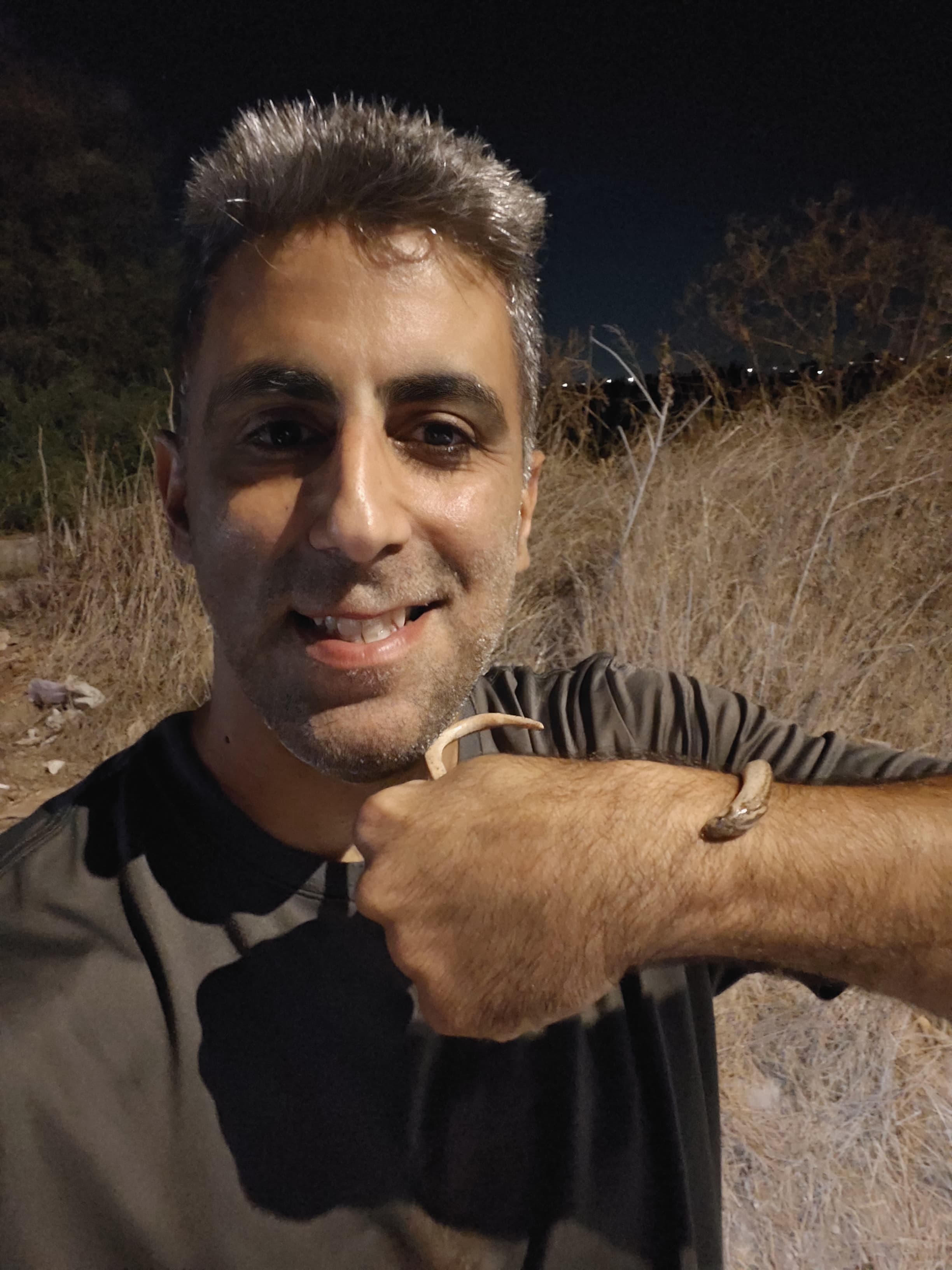 ששי ונחשים